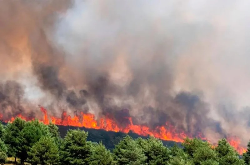 Devastador incendio forestal arrasa 32.000 hectáreas en Guadalajara y obliga a evacuar a más de 1.200 personas