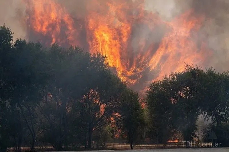 Incendios forestales en el sur de Europa: más de 170.000 evacuados y al menos tres bomberos fallecidos