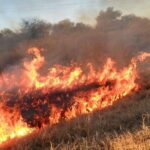 Bomberos de la Provincia sofocaron dos incendios de pastizales en la Capital