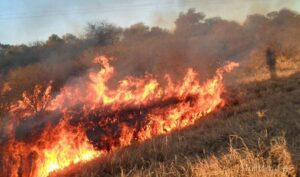 Bomberos de la Provincia sofocaron dos incendios de pastizales en la Capital