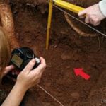 Hallazgo de 168 fragmentos óseos en Tagamanpa mientras un vecino preparaba una huerta