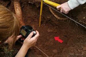 Hallazgo de 168 fragmentos óseos en Tagamanpa mientras un vecino preparaba una huerta