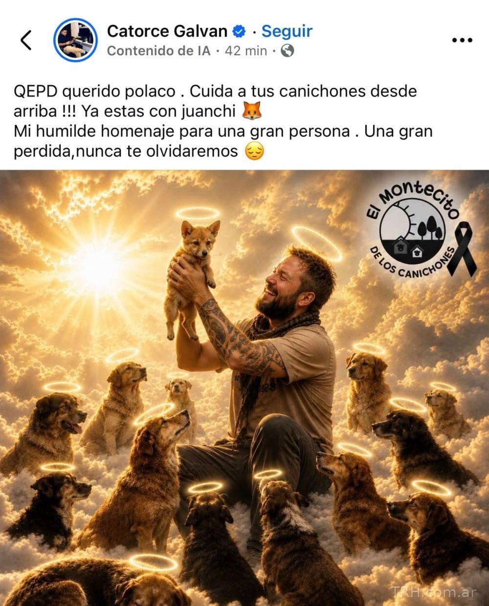 Perros rescatados en las instalaciones del refugio El Montecito de los Canichones