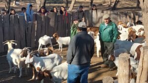 Añatuya será sede de las 4° Jornadas de Ganadería Caprina Agroecológica del NOA