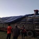 Secuestran casi 2.900 kilos de hojas de coca en un operativo en Monte Quemado