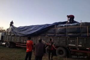 Secuestran casi 2.900 kilos de hojas de coca en un operativo en Monte Quemado