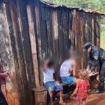 Audiencias por violencia de género y diversos procedimientos policiales marcaron la agenda judicial