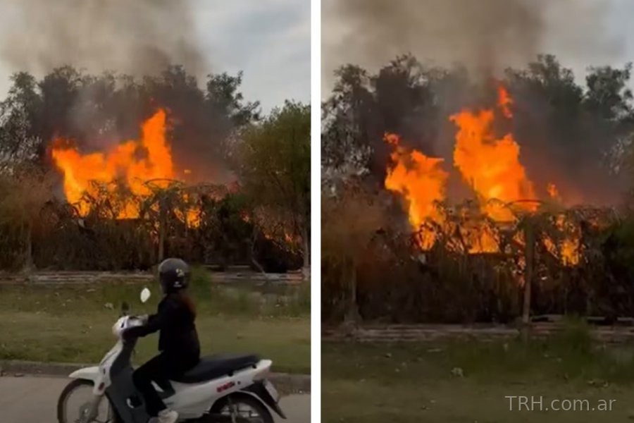 Área de vegetación afectada por el avance del fuego
