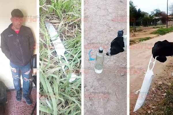 Actuaciones policiales de la Comisaría de la Mujer y la Familia en territorio provincial