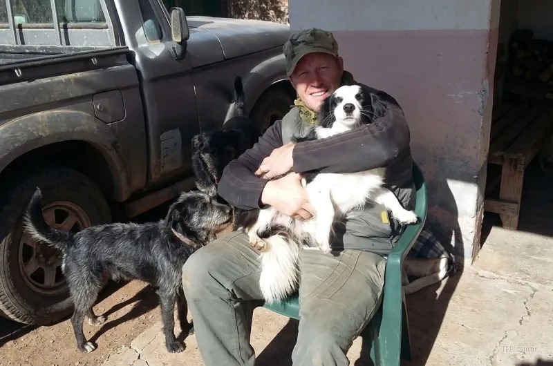Perros rescatados en espera de ser adoptados por una familia