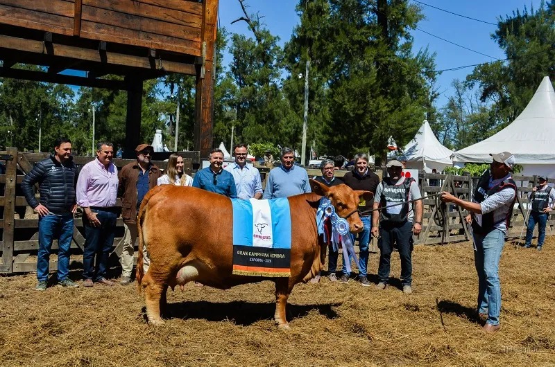 ExpoBra 2026 reúne a más de 400 animales y a los principales referentes ganaderos en La Banda