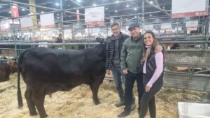 Cejolao será sede de la 5ª Jornada Ganadera organizada por INTA y La Gelid
