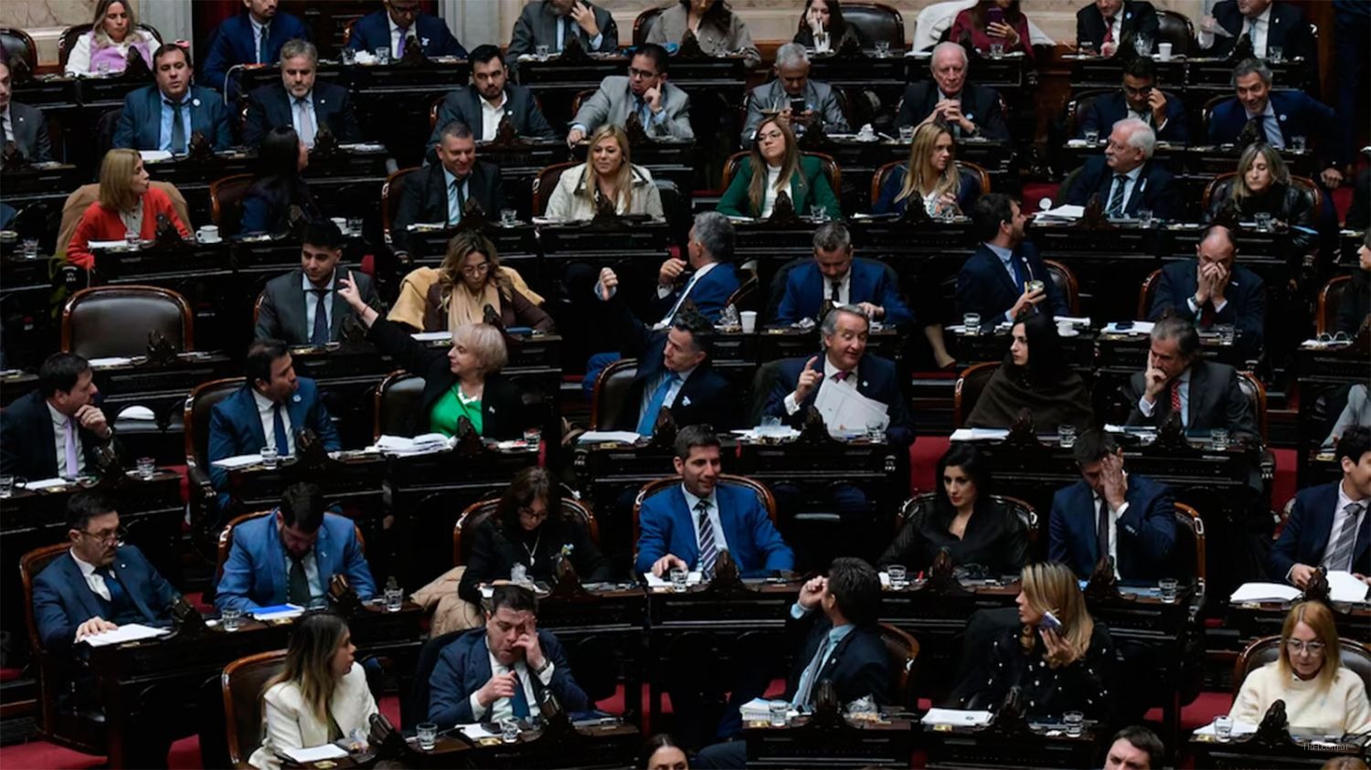 Debate parlamentario por las modificaciones al capítulo de discapacidad en el proyecto de Presupuesto