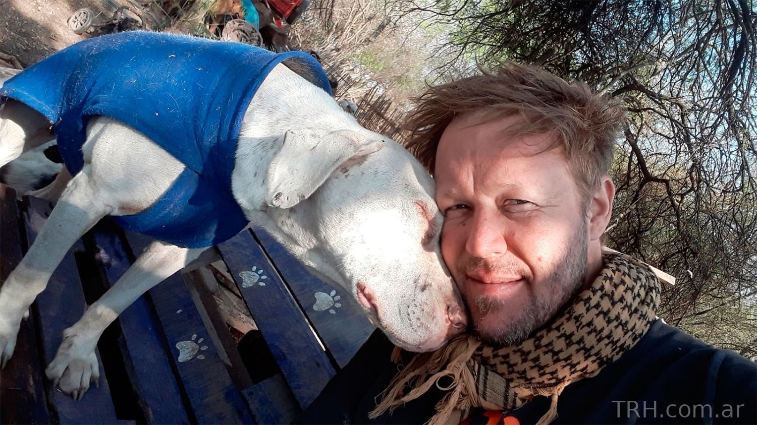 Bolsas de alimento para perros donadas al refugio de animales