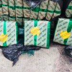 Gendarmería secuestró 420 kilos de hojas de coca en el peaje de Fernández