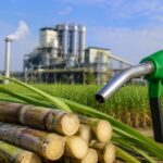 El Senado aprobó el proyecto de biocombustibles y convirtió en ley la Inocencia Fiscal II