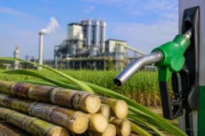 El Senado aprobó el proyecto de biocombustibles y convirtió en ley la Inocencia Fiscal II