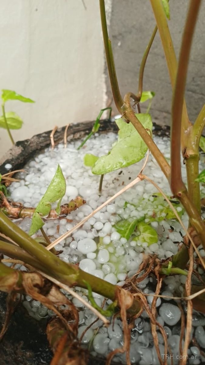 Granizo de gran tamaño caído en Ojo de Agua y Sumampa durante la tarde