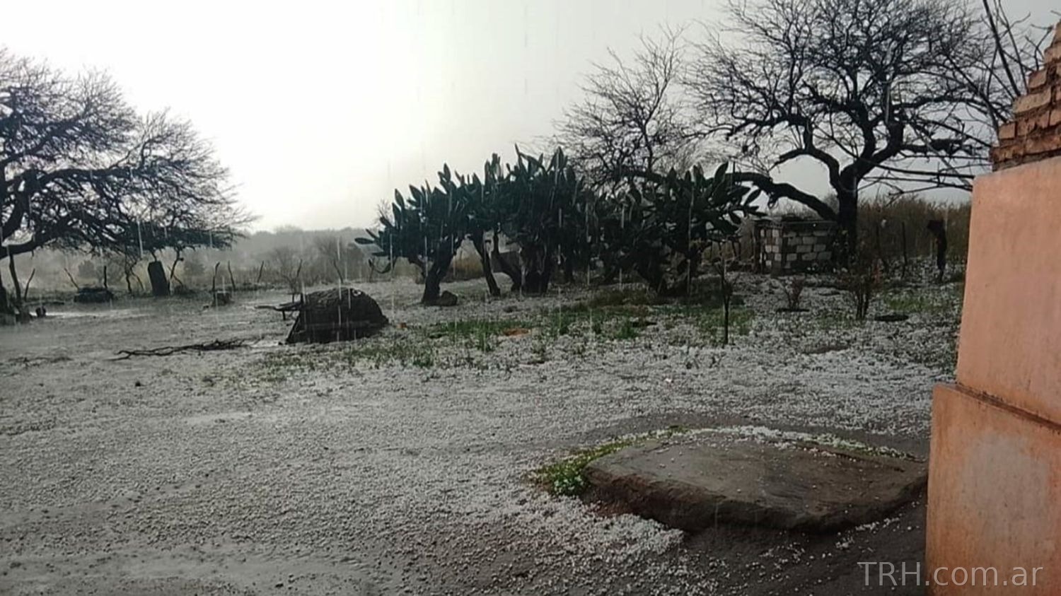 Suelo cubierto por piedras de hielo tras la tormenta en el interior santiagueño